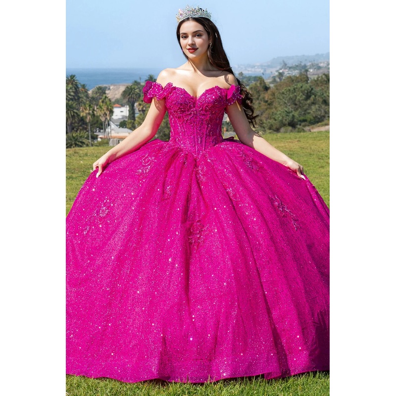 3D Butterfly Off Shoulder Ball Gown Couture Off Shoulder Evening Gown