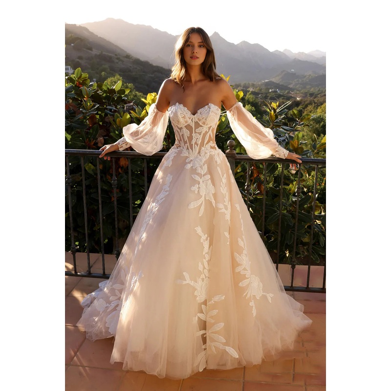 Embroidered floral decal long strapless transparent tight corset wedding dress
