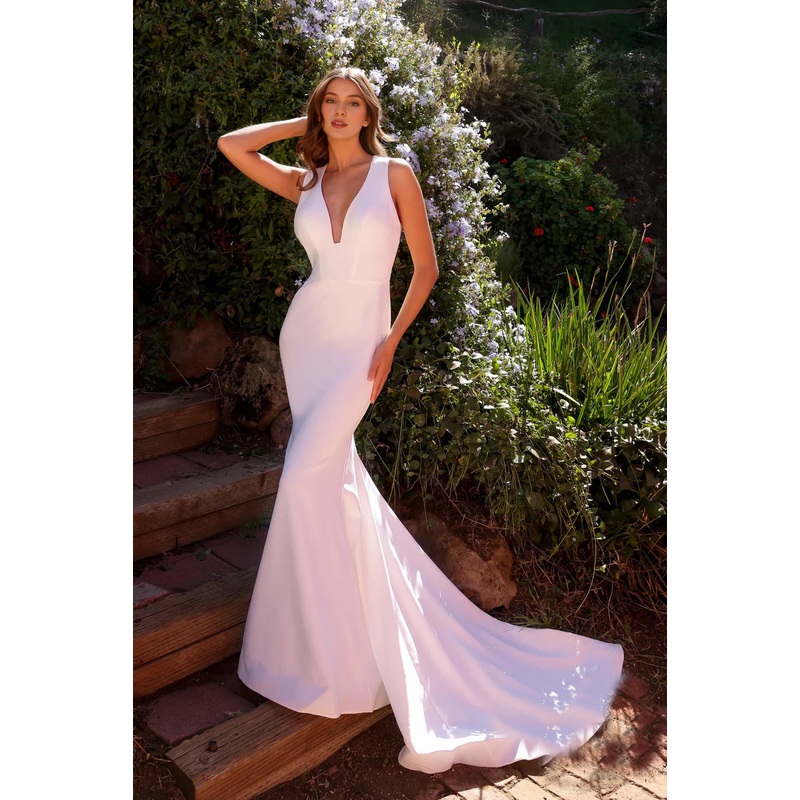 Long neck V-neck wedding dress